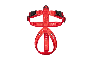 Preview: SOFTY Geschirr - Größe 5 - rot/rot